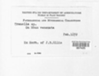 Image Associated With the Occurence